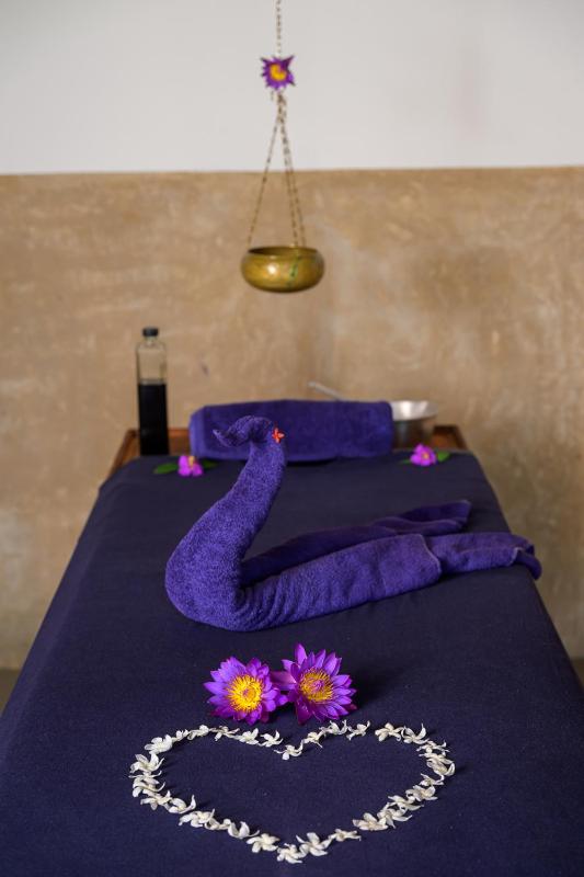 Spirit of Life Ayurveda and Yoga Resort - image 34