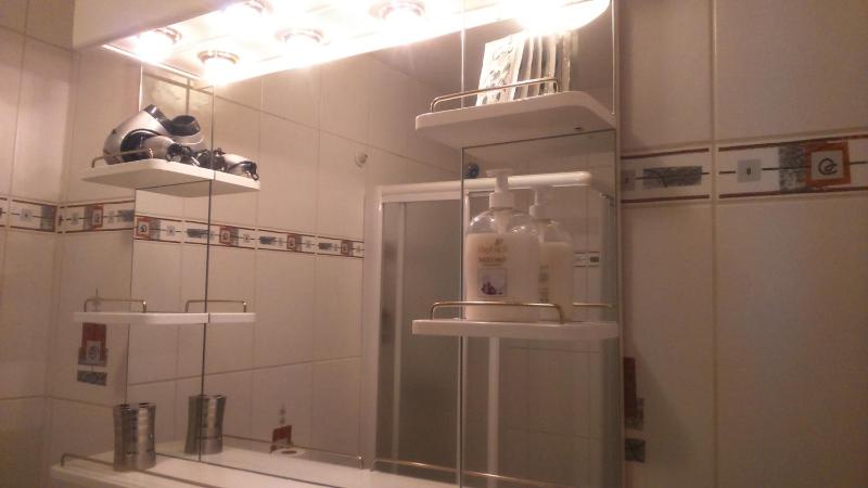 Studio with Terrace image 3