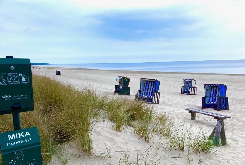 Finnhütte für Aktivurlaub Strand Wald und frische Meeresluft - Lilly - image 9