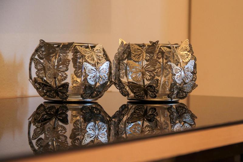 Josden Maianga T2 - image 4
