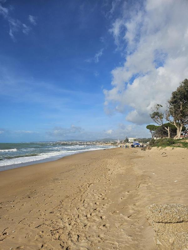 Corte Atenea Guest House Experience & Spa - image 28