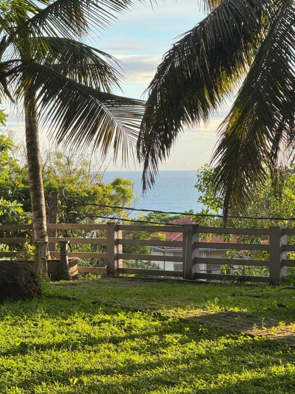 Browns Hill Matara - image 8