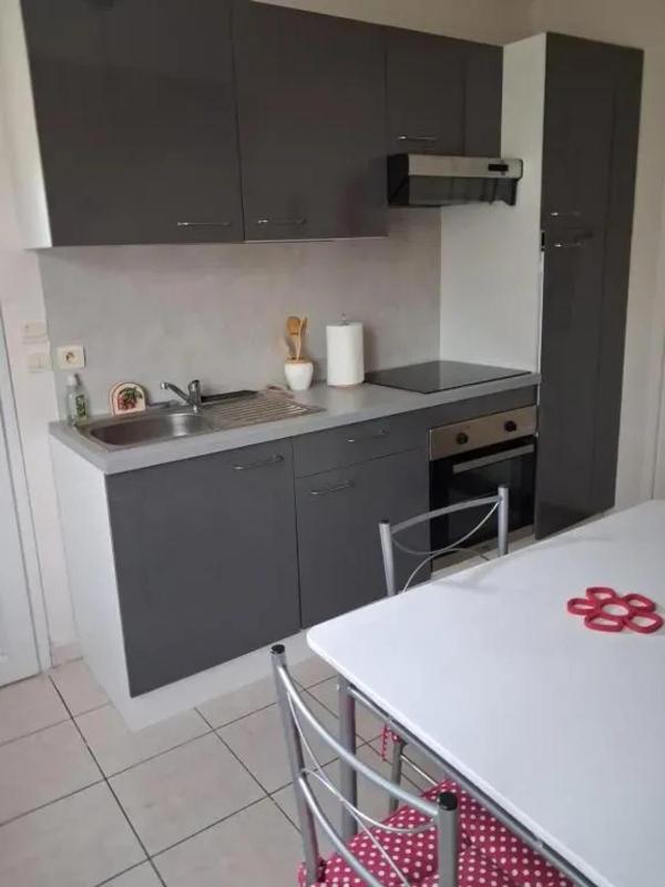 Appartement lumineux avec jardin à Le Mans 35 m² 2 pers. - image 7
