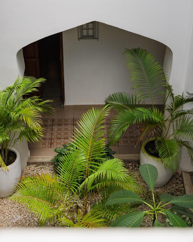Emerald Palm Courtyard Hotel - image 3