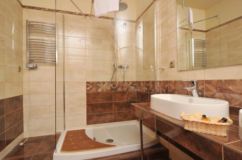 One-Bedroom Apartment image 3