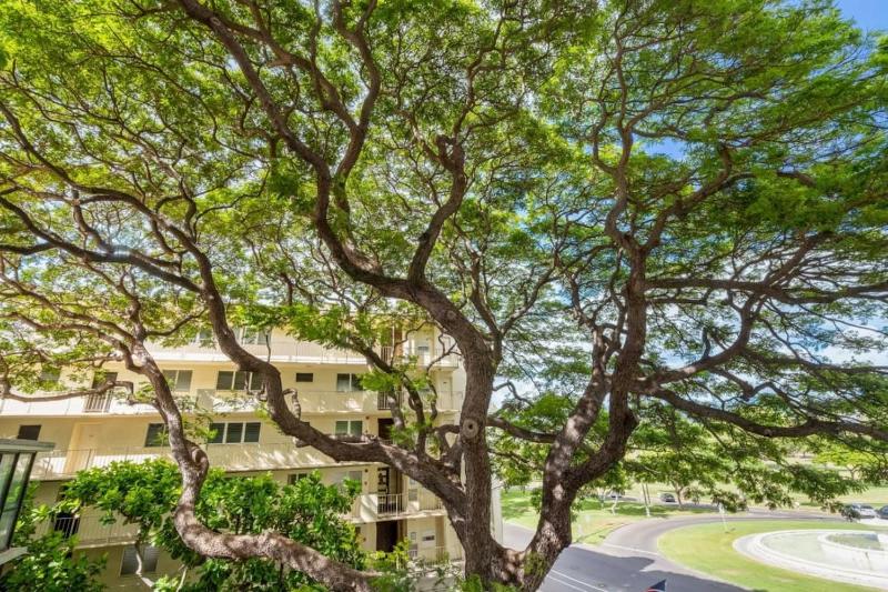 Marbella Lane -Coastal retreat near Diamond Head - image 10