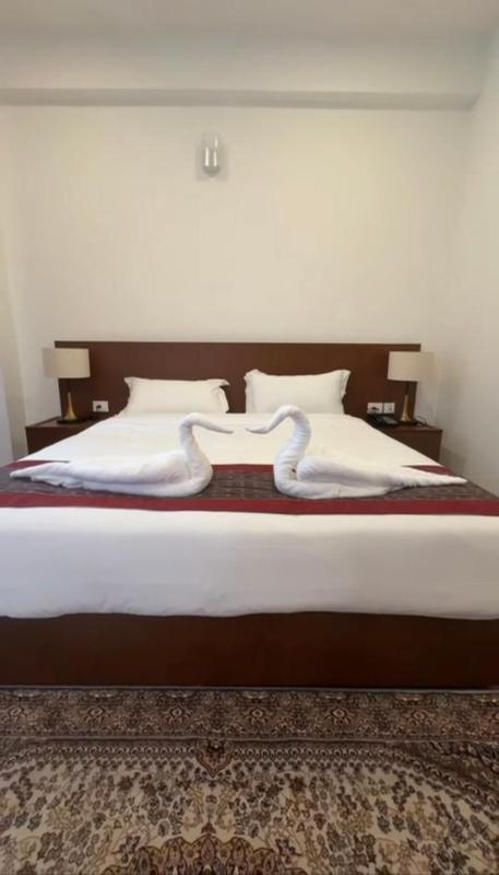 Hotel pema raga - image 10