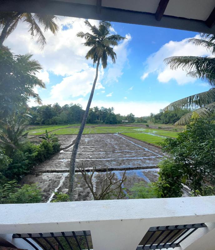 Paddy Breeze Villa - image 12