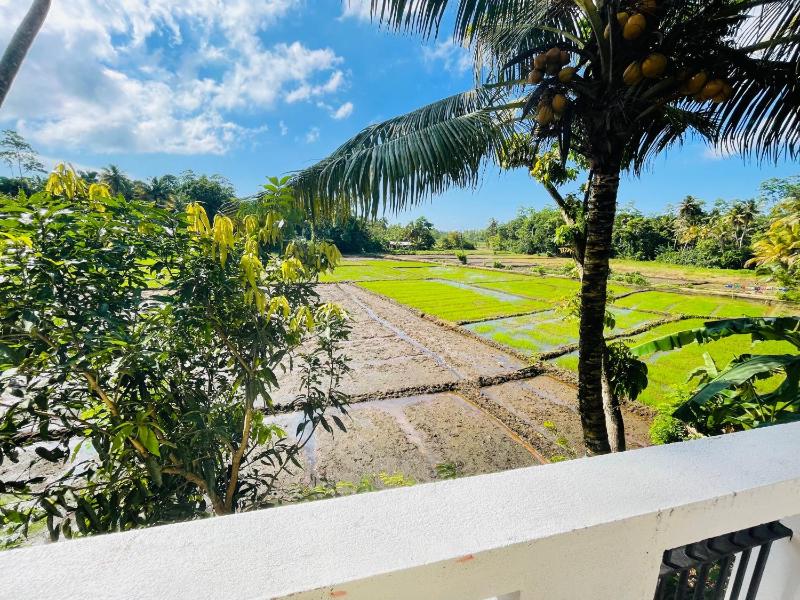 Paddy Breeze Villa - image 16
