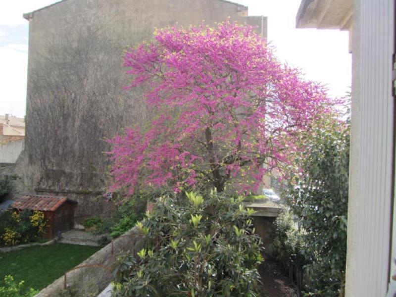 Aude Cité-City - image 30