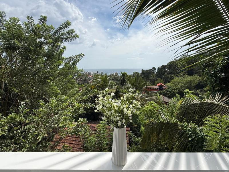 Seaview Mountain Villa - image 14