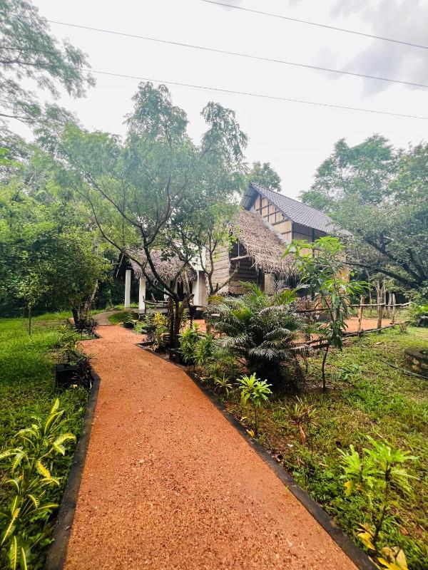 Sigiriya Coconut Shade Resort - image 11