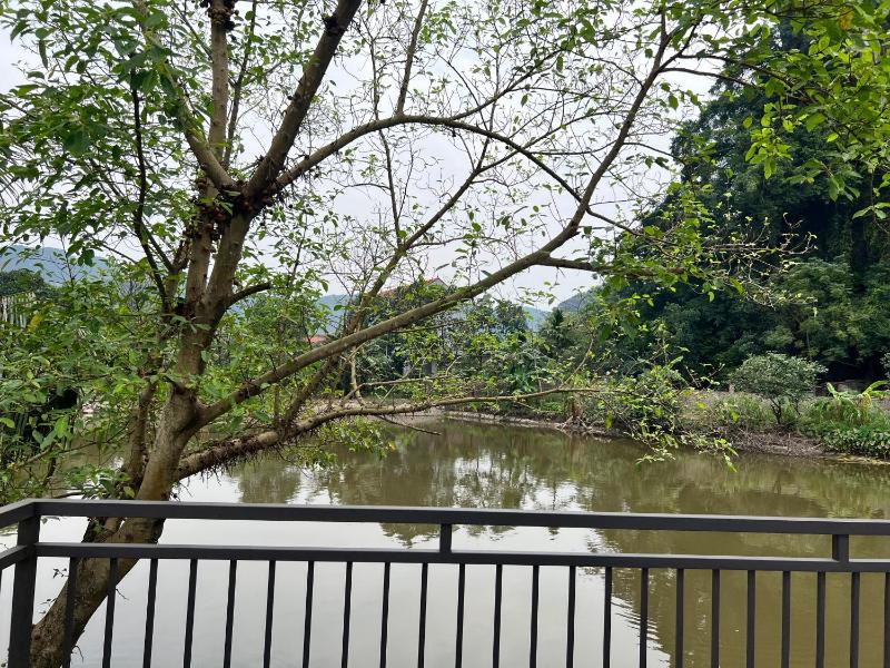 Tam Coc Mountain Light Homestay - image 8