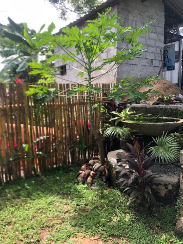 Chill corner - image 5