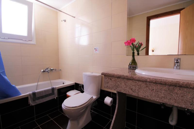 One-Bedroom Apartment image 3