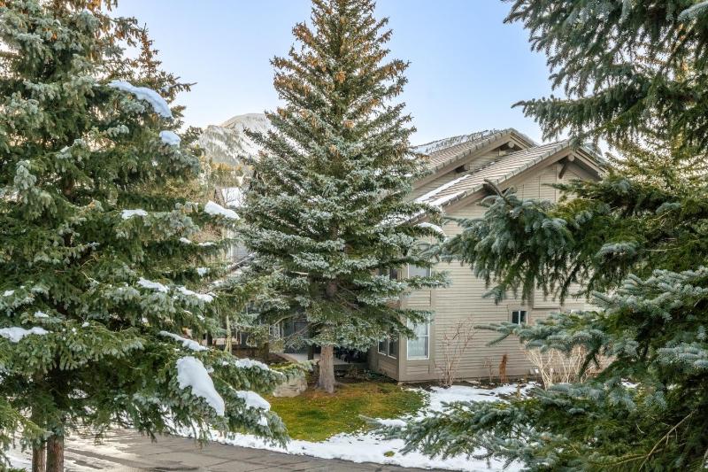 Snowcreek V 870 - image 29