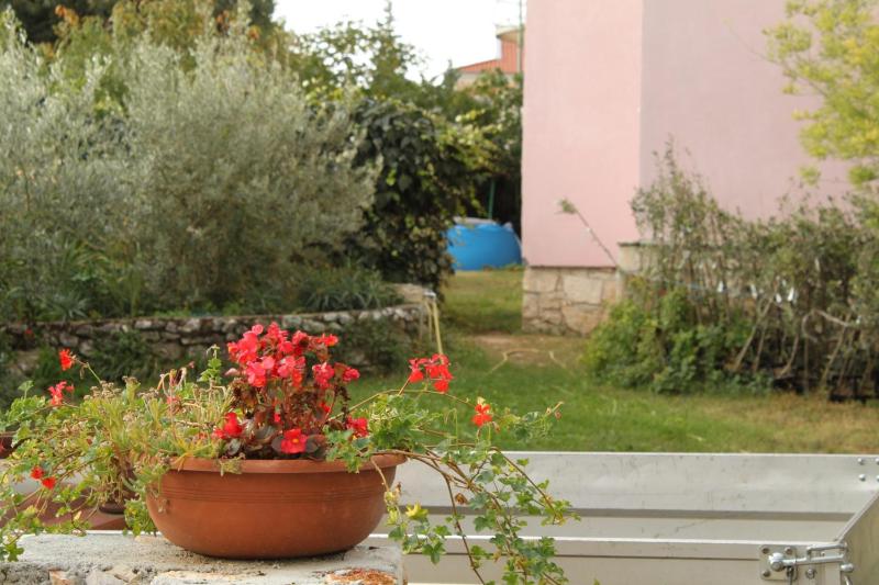 Apartment Rovinj 3394b - image 9