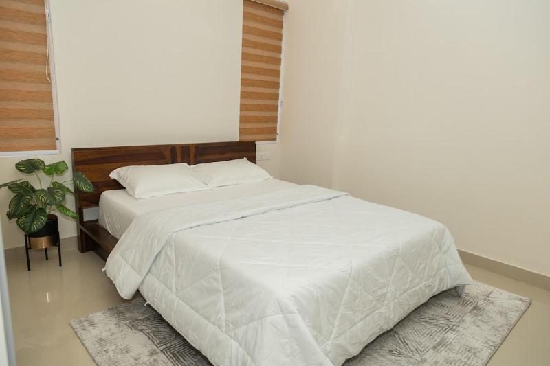 VB Homes - image 26