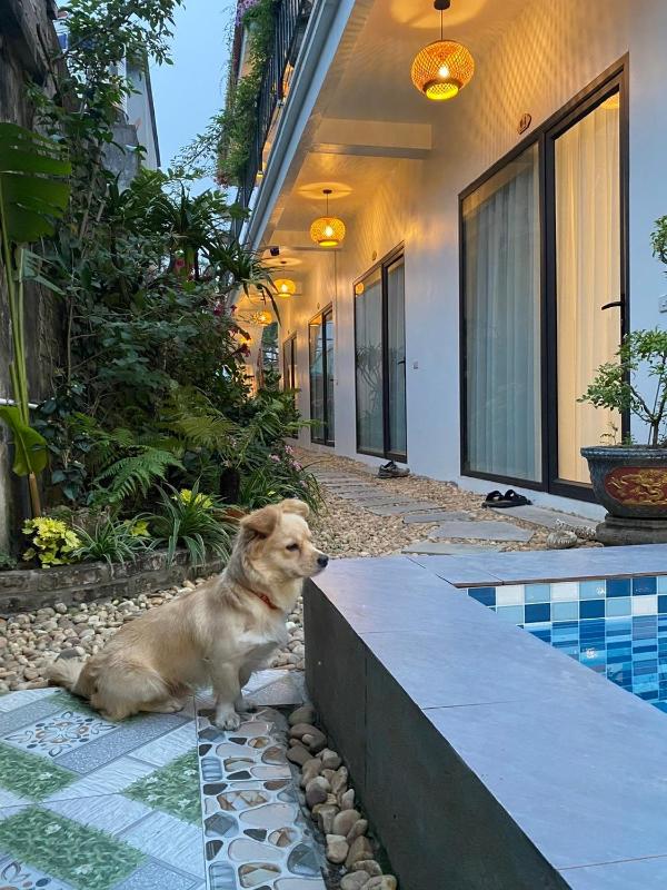 Tam Coc My Tho Homestay - image 32