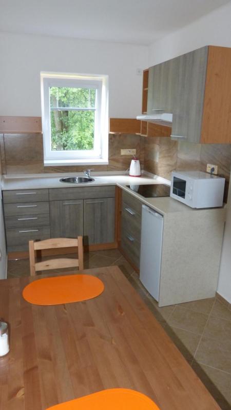 One-Bedroom Apartment image 3