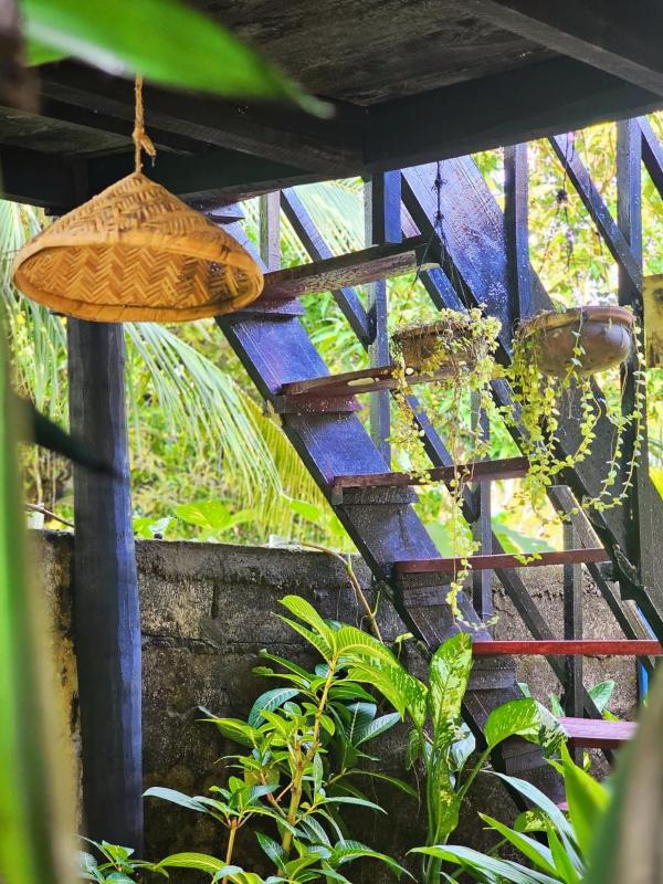 Bird House Mirissa - image 6
