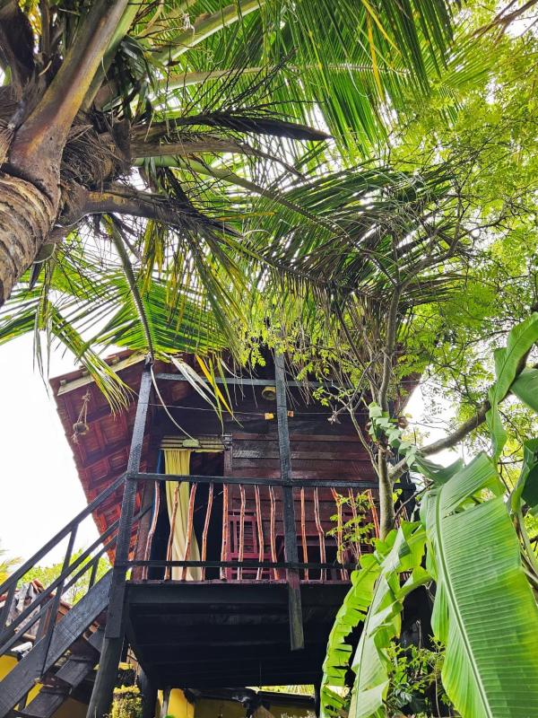 Bird House Mirissa - image 9