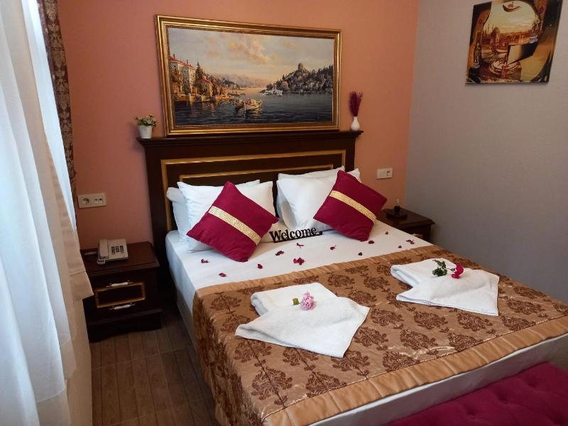 Emirhan Inn Hotel Sultanahmet - image 7
