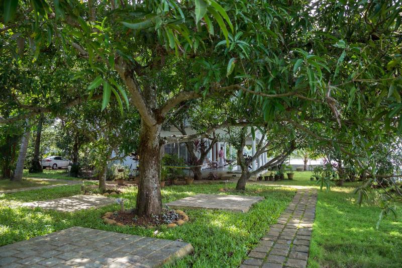 Orchid Lake View Homestay - image 15