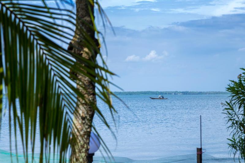 Orchid Lake View Homestay - image 13