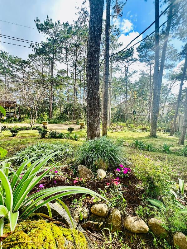 Snghe's Măng Đen Garden Villa - image 6