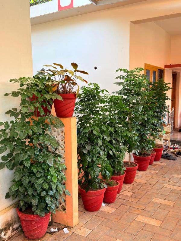Epic inn villa 3 bhk with kitchen Varkala cliff - image 44