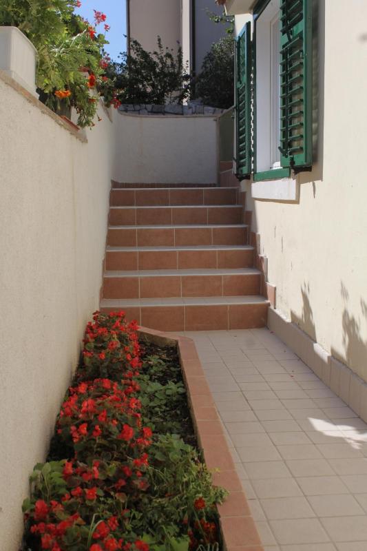 Apartments by the sea Bilo Primosten - 8364 - image 2