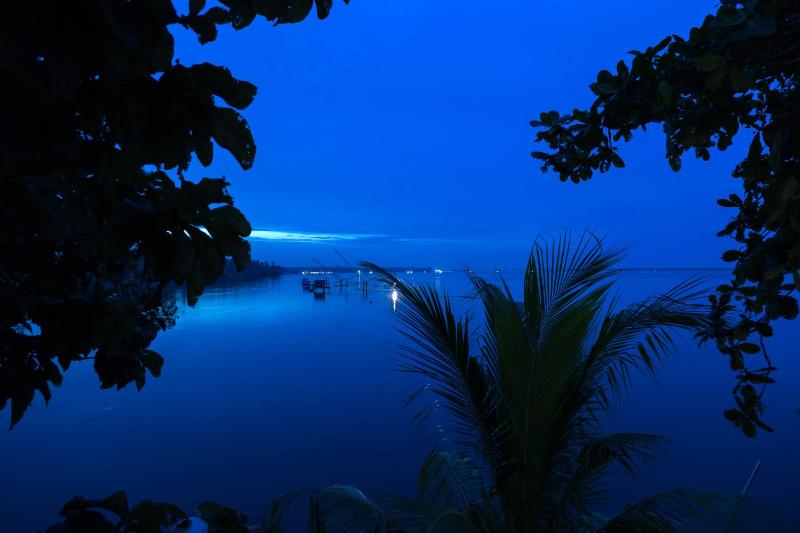 Orchid Lake View Homestay - image 20