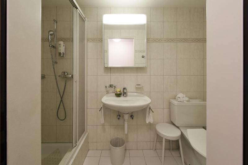 Standard Single Room image 2