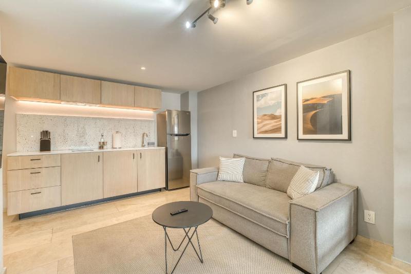 Modern King Studio in Central Roma Norte - image 4