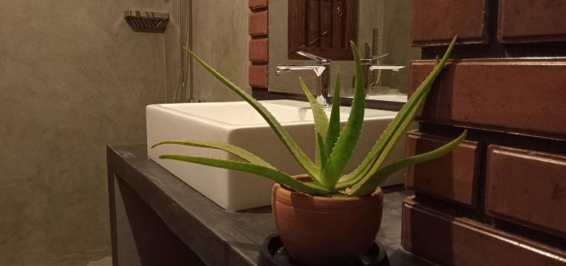 Guruwaththa Eco Villa 3 - image 3