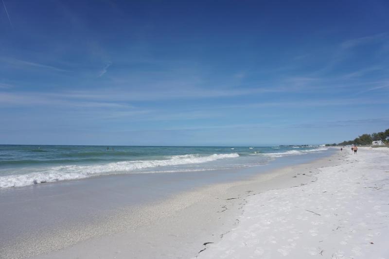 Anna Maria Island Tree House Pet Friendly! - image 17