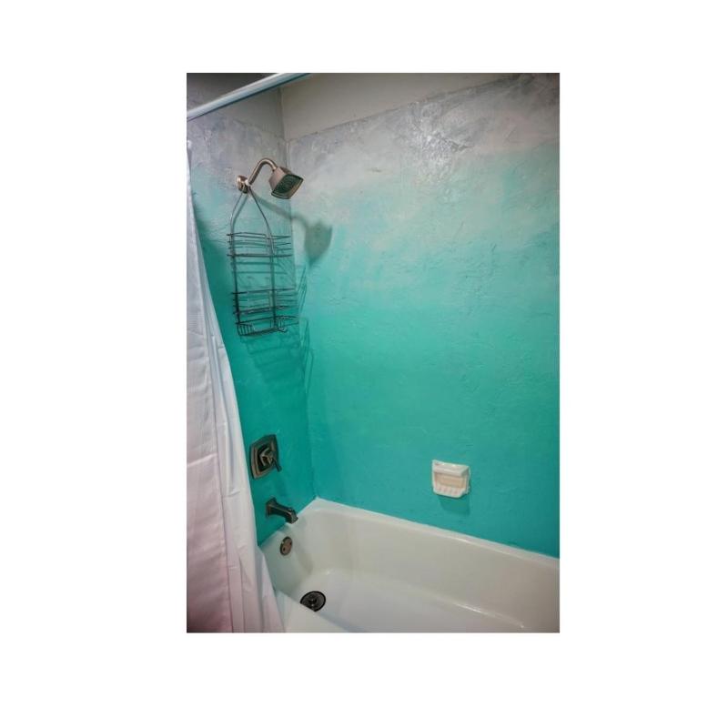 Anna Maria Island Beach Shack Pet Friendly! - image 12