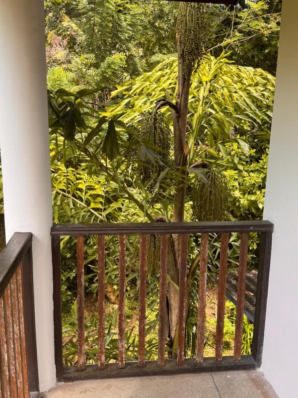 Leafy Haven Villa - image 39