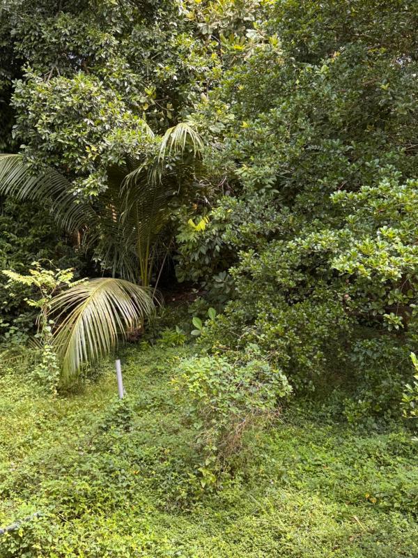 Leafy Haven Villa - image 9