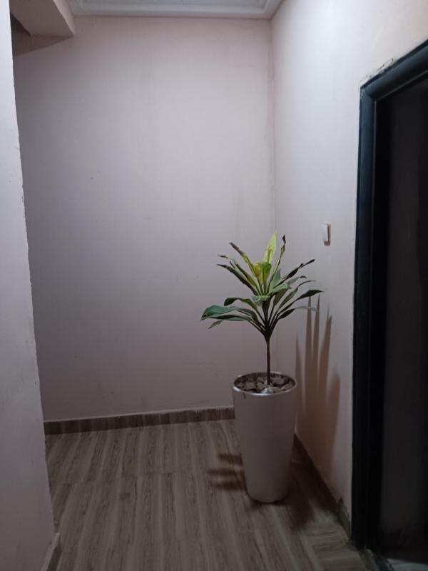 Posh homes and apartments - image 1