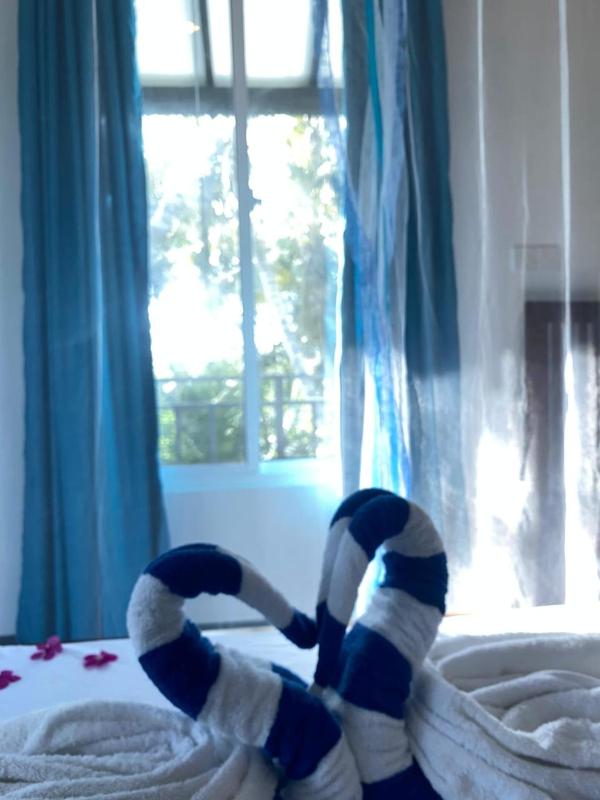 Navee Guest - image 29