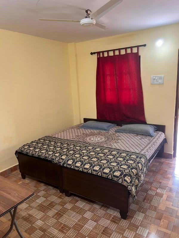 Freddy's Guest House - image 3