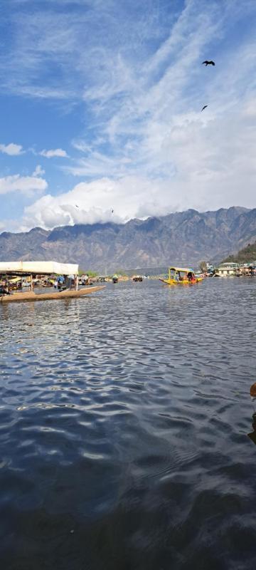 Dallake group of Houseboats - image 5