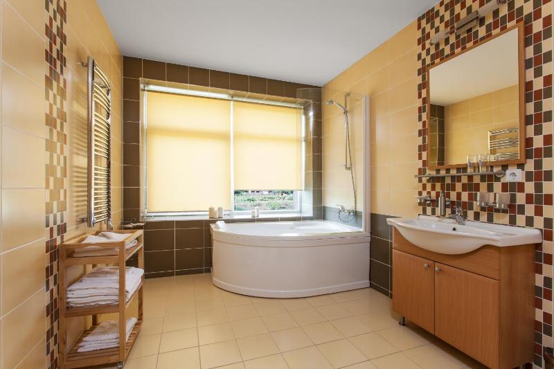 Deluxe Suite image 3
