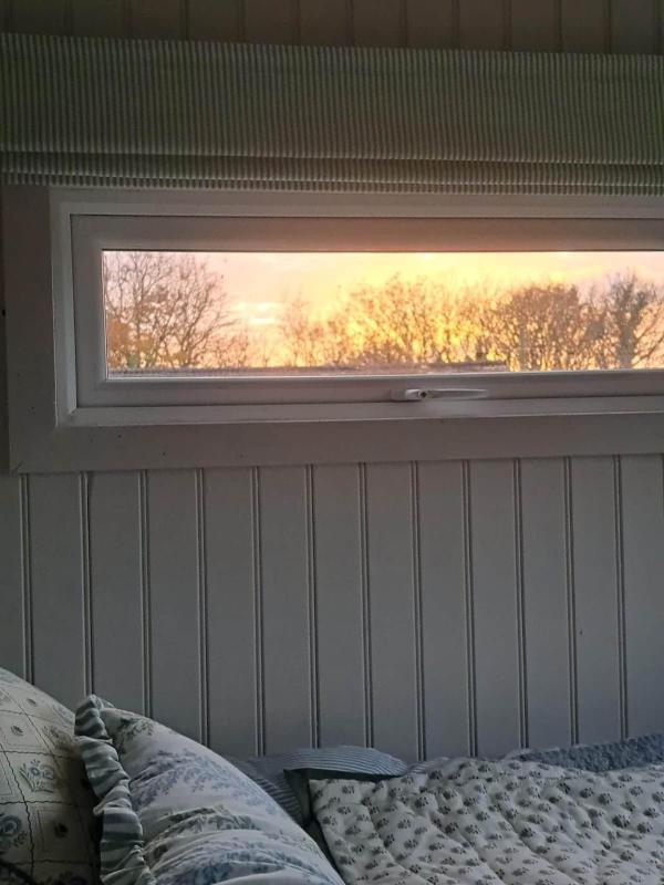 Shepherds Hut Galway - image 3