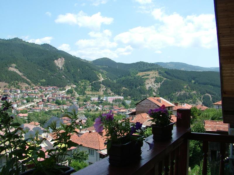 Apartment with Mountain View image 4