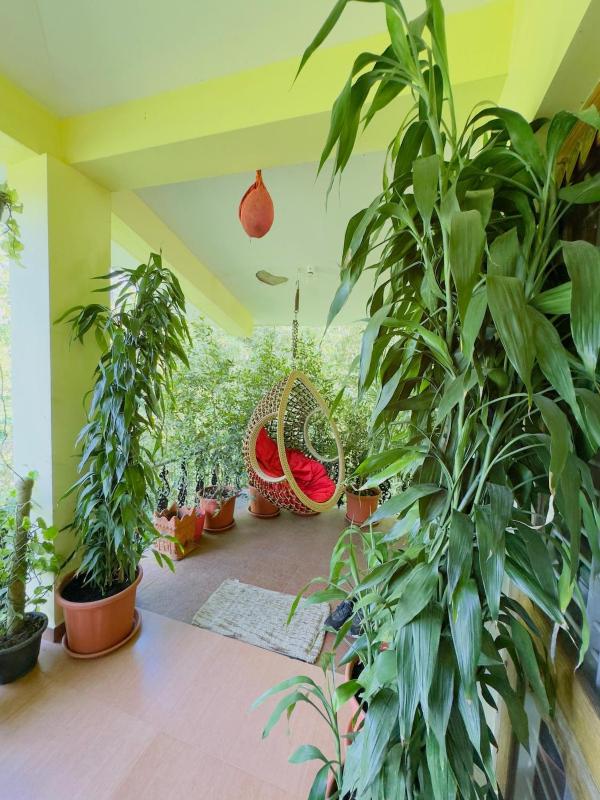 Whitelily's Amrithasthanam - image 5