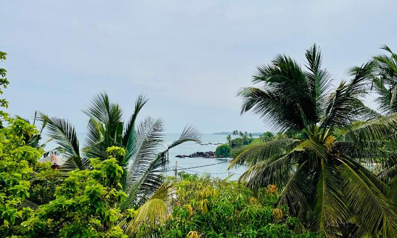 D n A secret Palace - image 10