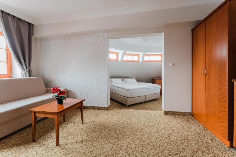 Hotel VÍTKOVA HORA - image 45